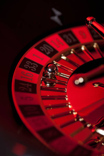 kim dotcom Live tables